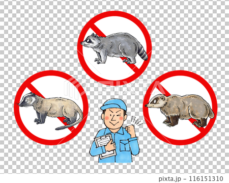 害虫・害獣駆除はお任せください！お客様満足度100%継続中！